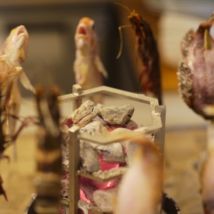 로바타 라이브라 청담 본관