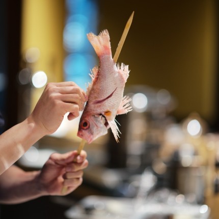 로바타 라이브라 청담 본관