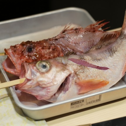 로바타 라이브라 청담 본관